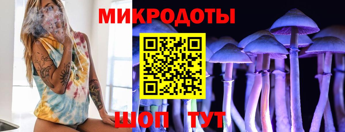 Псилоцибиновые грибы MAGIC MUSHROOMS  что такое наркотик  Спасск-Дальний  Вход с VPN 
